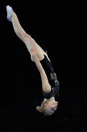 Image 26651692