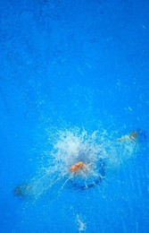 Image 26675954