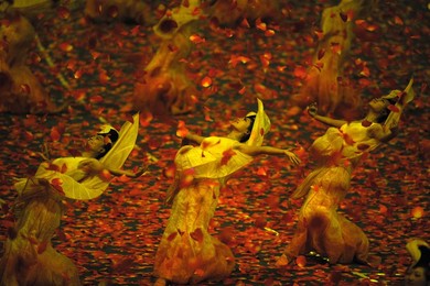 Image 27165498