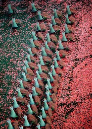 Image 27168884