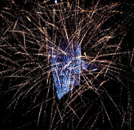 Image 27169005