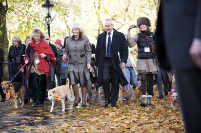Image 28027745