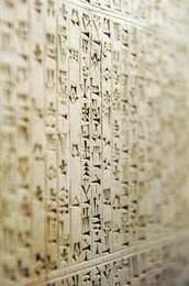 Image 28085680