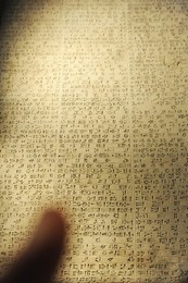 Image 28085779