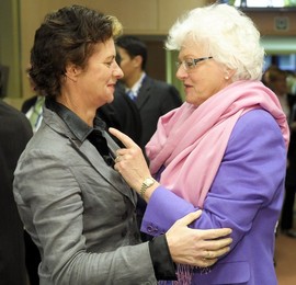 Agricultural Council