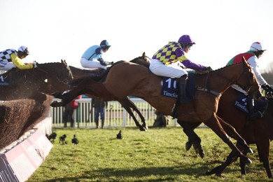 Cheltenham Races
