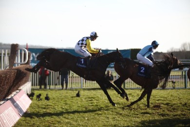 Cheltenham Races