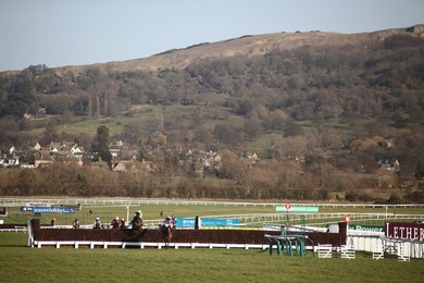 Cheltenham Races