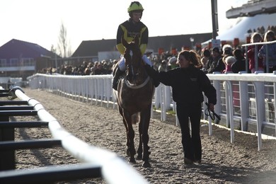 Cheltenham Races