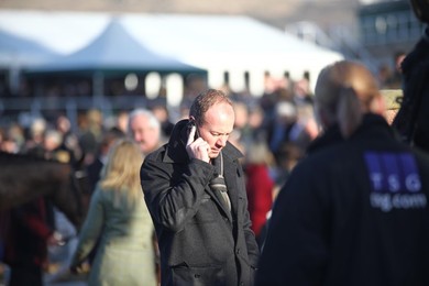 Cheltenham Races