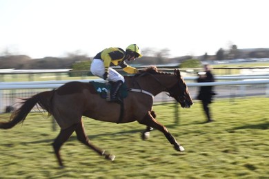 Cheltenham Races