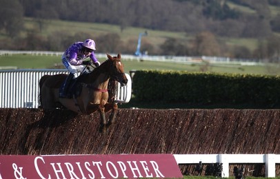 Cheltenham Races