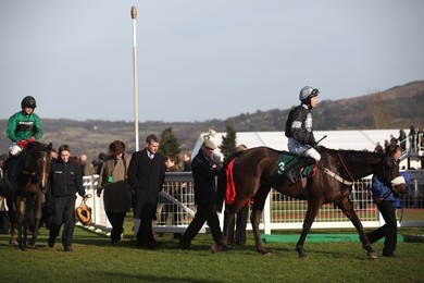 Cheltenham Races