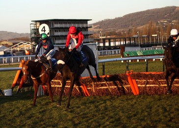 Cheltenham Races