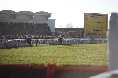 Cheltenham Races