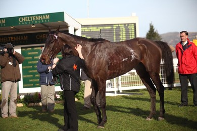 Cheltenham Races
