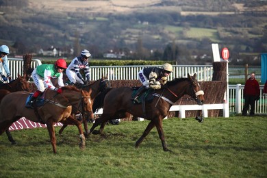 Cheltenham Races
