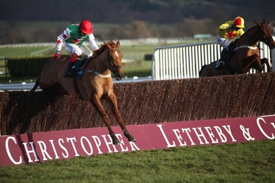 Cheltenham Races