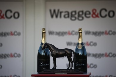 Cheltenham Races