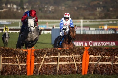Cheltenham Races