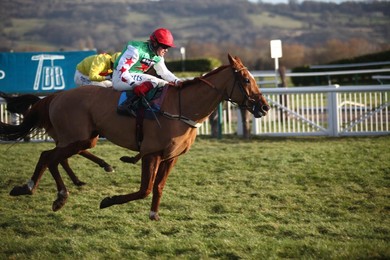 Cheltenham Races