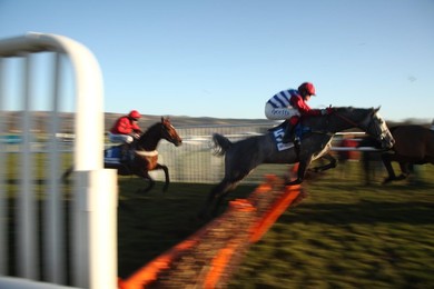 Cheltenham Races
