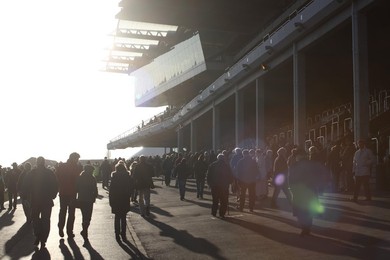 Cheltenham Races