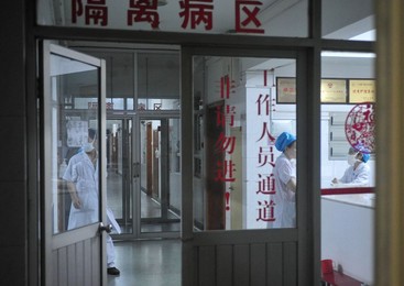 Image 32908802