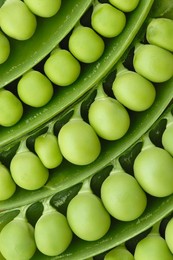 Pisum Sativum, Pea