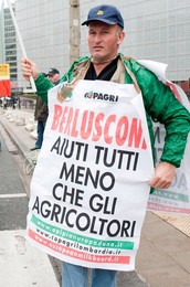 Image 39060177