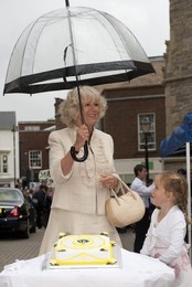 Image 39443930