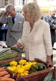 Image 39444249