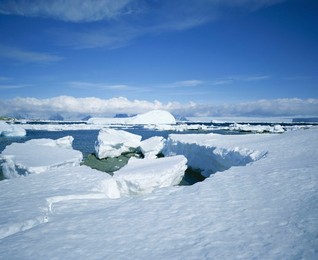 Coastal landscape, Antarctic Peninsula, Antarctica, Polar Regions