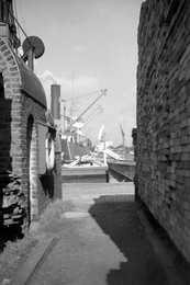 Image 39874617