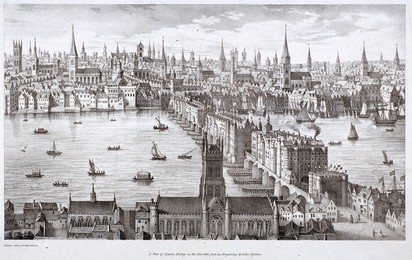Image 39882021