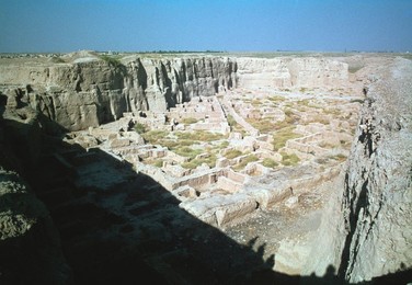 Image 39986051