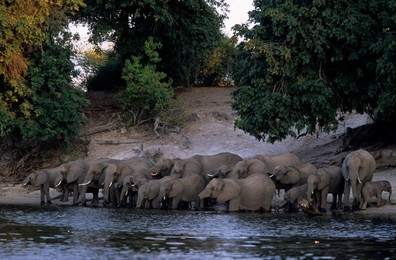 Image 40174926
