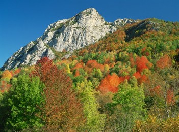 Landscape with woodland of trees in autumn colours and rocky peak beyond, near Montsegur, in Arege, Midi-Pyrenees, France, Europe