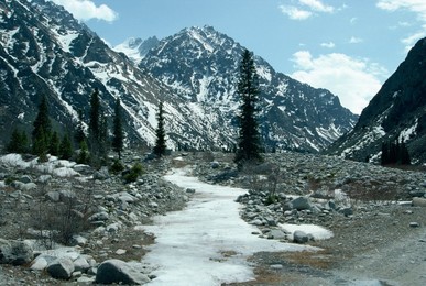 Mountain spring in spring, Ala Acha Nature Reserve, near Bishkek, Kyrgyzstan, Central Asia, Asia
