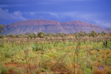 Landscape around Paunya, Northern Territory, Australia