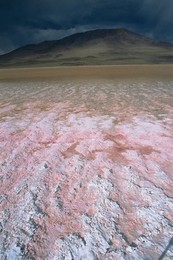 Landscape, Laguna Colorada, Bolivia, South America