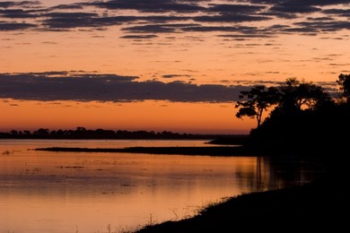 Image 40297347