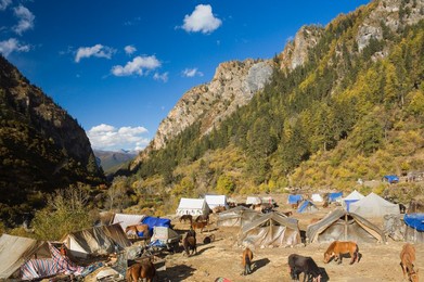 Tent camp, Yading Nature Reserve, Sichuan Province, China, Asia