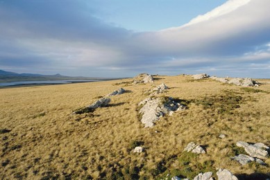 Typical landscape, East Falklands, Falkland Islands, South Atlantic