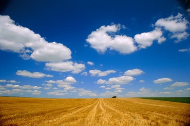 Landscape near Hondschoote, Flanders, Nord Pas de Calais France, Europe
