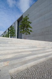 Image 40311737