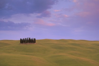 Typical landscape, Tuscany, Italy, Europe