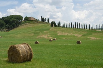 Typical view of the Tuscan landscape, Le Crete (The Crete), Tuscany, Italy, Europe