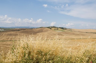 Typical views of the Tuscan landscape, Le Crete (The Crete), Tuscany, Italy, Europe