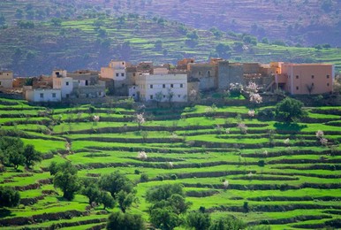 Terraced landscape, Taroudant, Morocco, North Africa